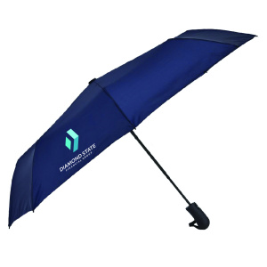 dsfg_umbrellas